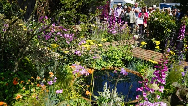 Members of the public view a colourful garden