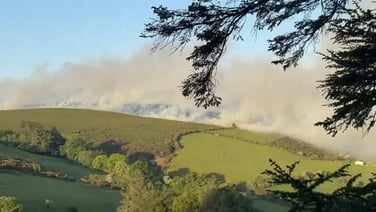 Firefighters tackle gorse fires in Dublin Mountains