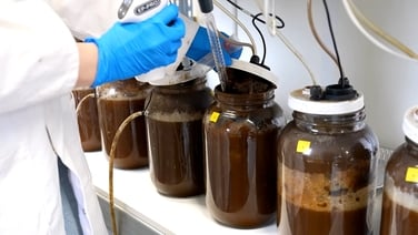 ‘Pee-cycle’ tech turns human urine into fertiliser