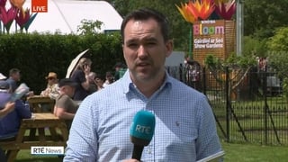 Aengus Cox reports from the Bloom Festival