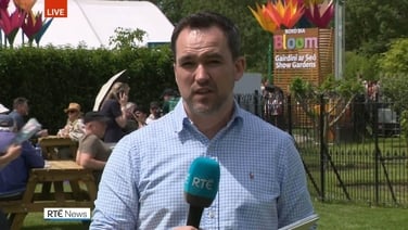 Aengus Cox reports from the Bloom Festival