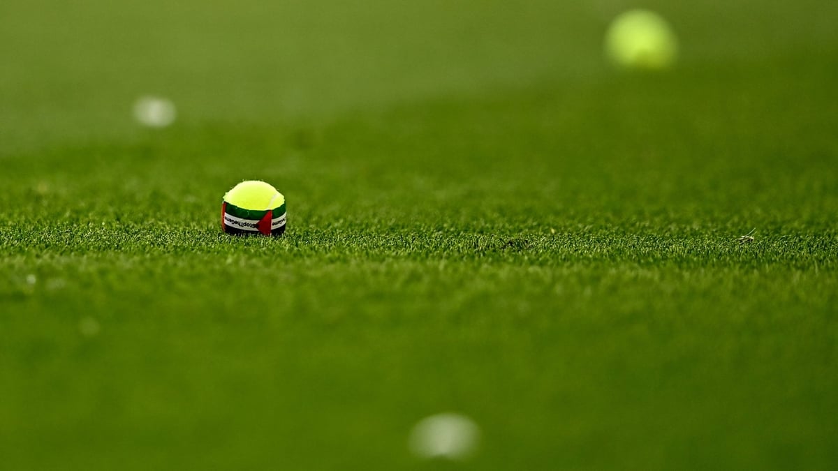 Tennis ball protests at Aviva Stadium over October Israel game