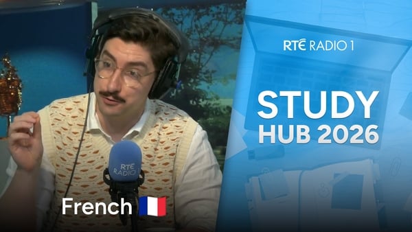 Study hub spanish