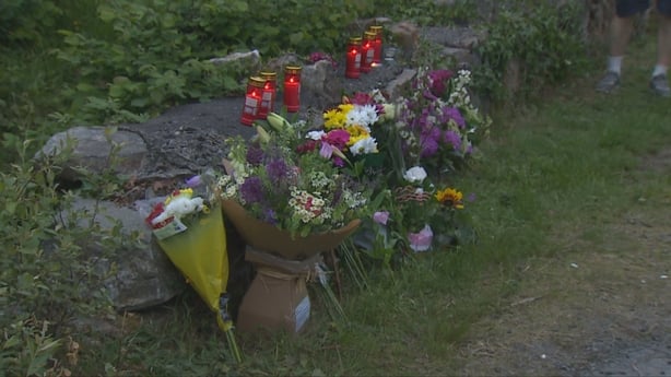 Flowers on the roadside in Clifden