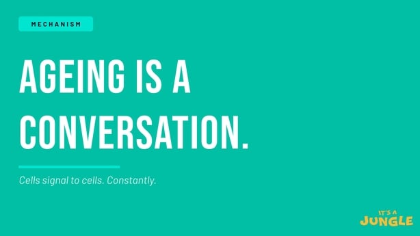 ageing is a conversation