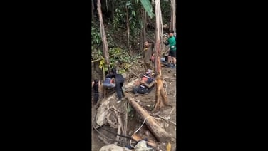 Four men freed from flooded cave in Laos to cheers from crowds