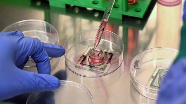 In this photo taken on May 5, 2026, senior scientific specialist Kwaku Dad Abu Bonsrah pipettes nutrients onto neurons on Micro Electrode Array (MEA) chips at Cortical Labs' Physical Containment Level 2 (PC2) laboratory in Melbourne. Australian researchers have trained lab-grown brain cells on a sil