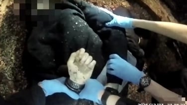 Bodycam footage shows police handcuffing Henry Nowak