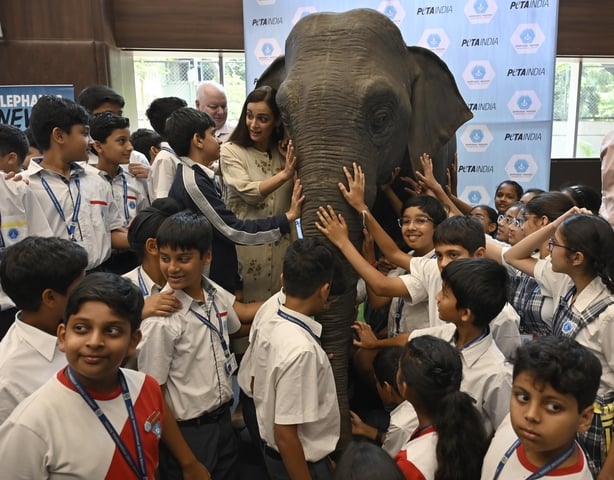 Bollywood star Dia Mirza and People for the Ethical Treatment of Animals (PETA) unveil a stunningly realistic, life-size, animatronic elephant named Ellie at Jamnabai Narsee School, Juhu, on 5 May, 2023 in Mumbai, India. (Photo by Vijay Bate/Hindustan Times via Getty Images)