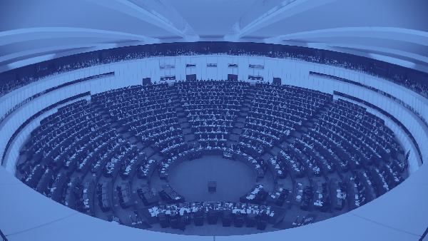 What will Irish voters care about at the EU Elections?