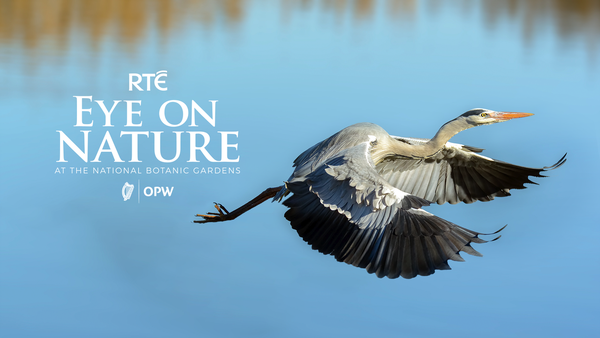 RTÉ Eye on Nature