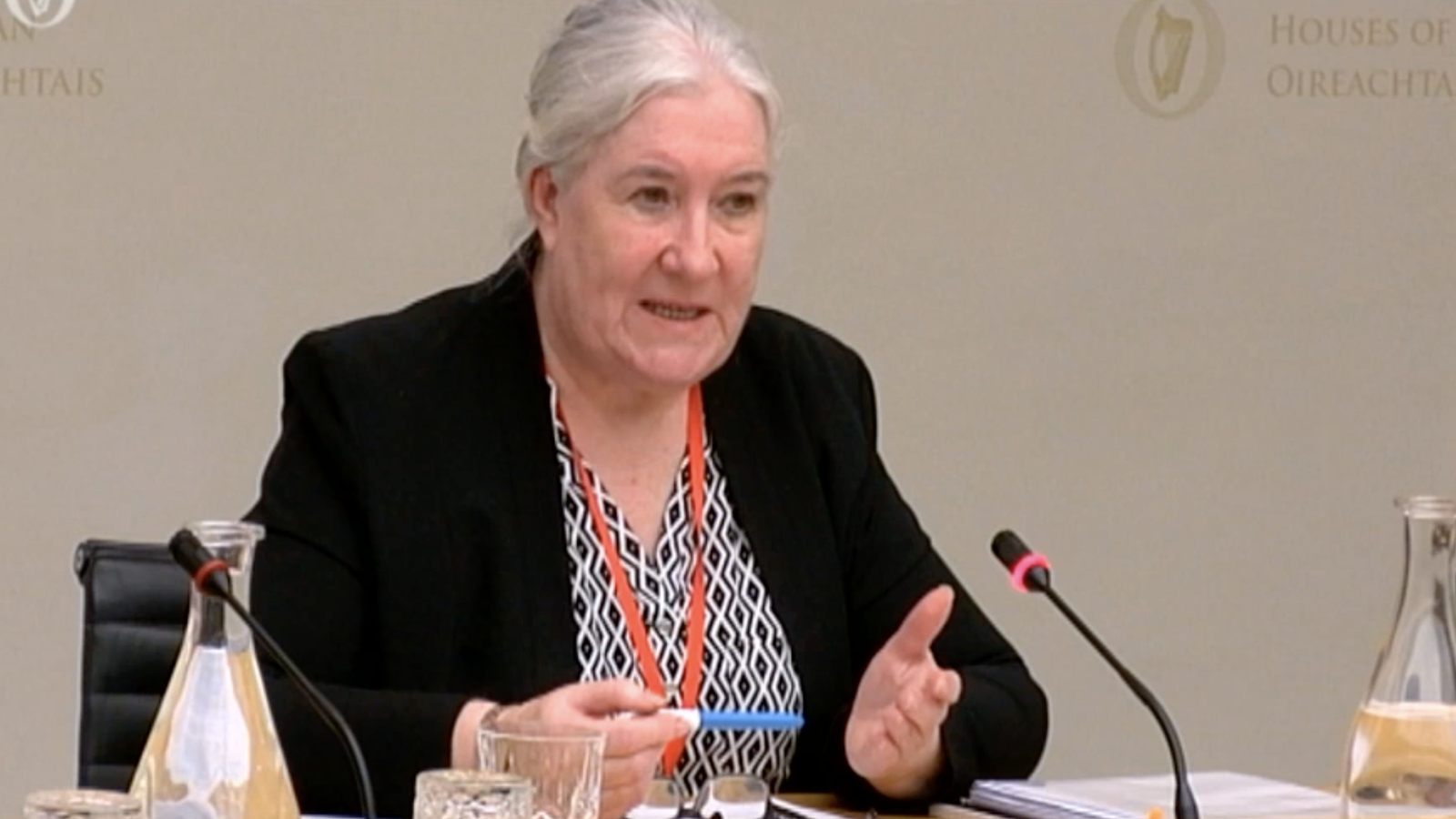 In 2017, Ms Farrell addressed the Oireachtas Committee on Justice and Equality